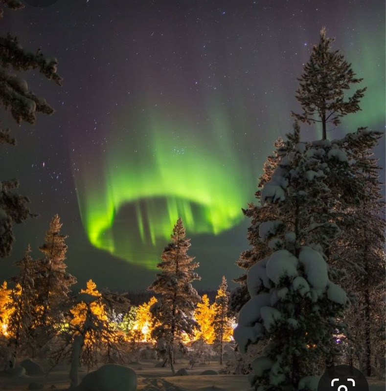 Screenshot_20231016_234434_Pinterest