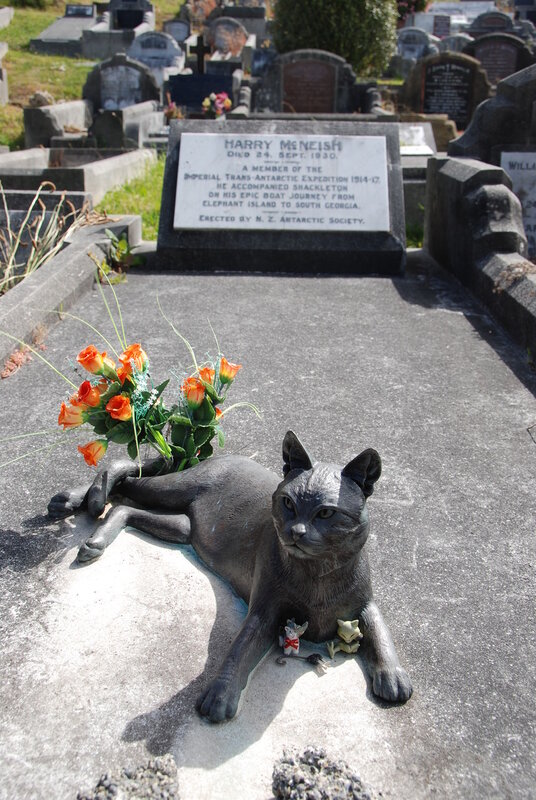 1-Harry-Mc-Neish-Gravestone-cat-by-Nigel-Cross