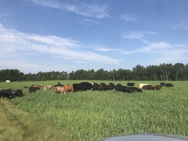 8C0E7D54-F0B7-4AE5-BC89-C145EC78358E