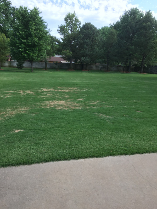 1B8FB9CD-6705-4EE8-B481-9673DA36D08A