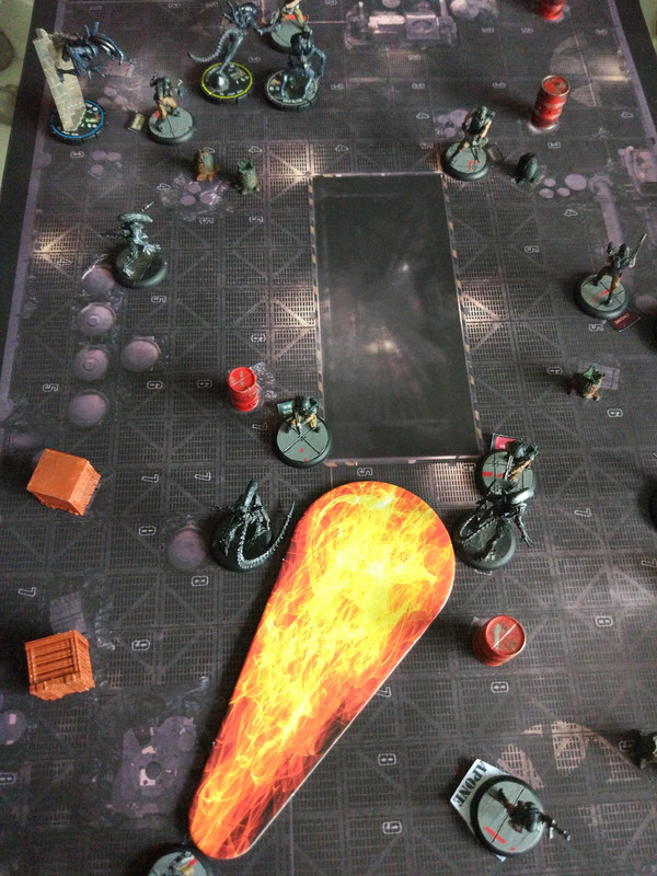 83CF5376-649D-4331-9622-6C122C88D137