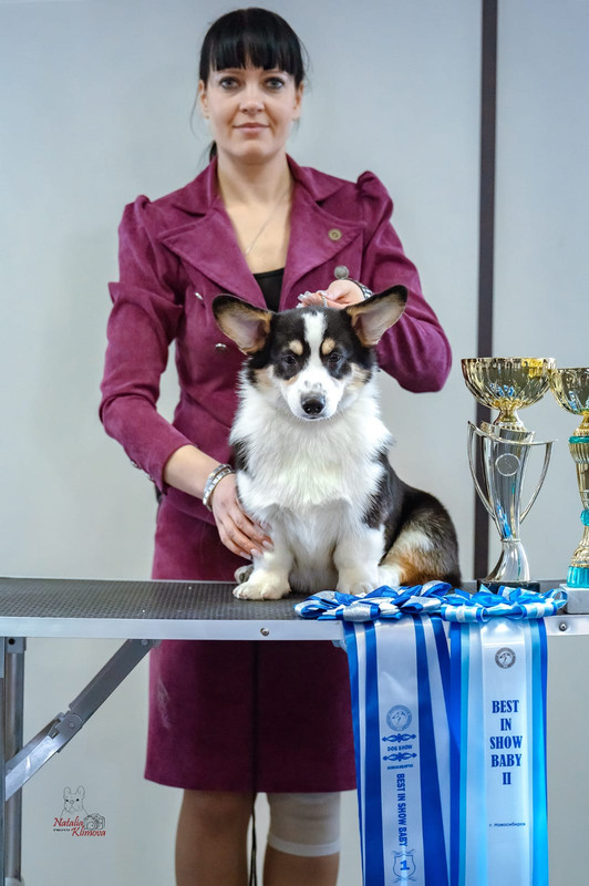 9CA6C41A-C600-4755-80BE-DA5A50F9B2ED