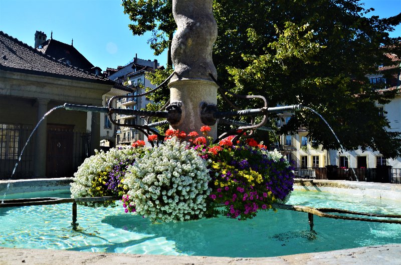 FRIBURGO-4-9-2019 - Suiza y sus pueblos-2019 (26)