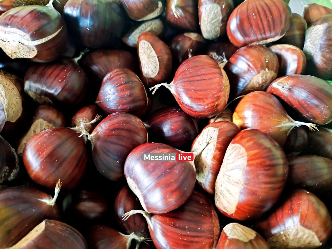 LADASIMG-20251012-161914