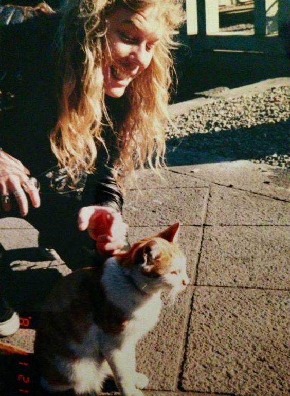 49e0c59cfbda133f8c5a748577cf6732