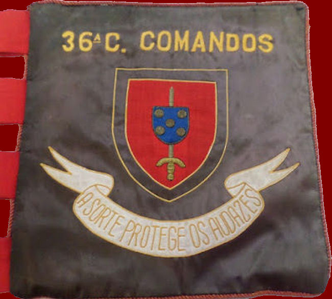 36-CCmds-650