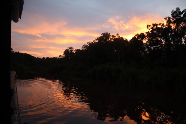 Singapur e Indonesia 2018 - Blogs de Indonesia - Borneo (P.N. Tanjung Puting) (17)