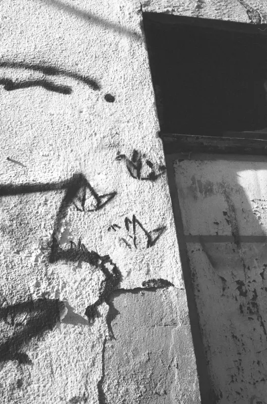 graffitied paper cranes next to sealed up window.