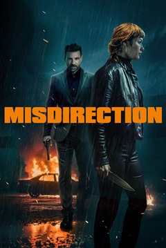 Misdirection 2026 480p WEB-DL x264-TFPDL