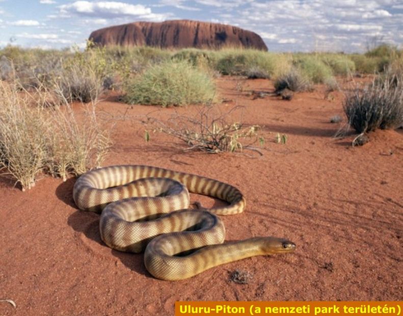 https://i.postimg.cc/G3z5s0sz/uluru-piton.jpg