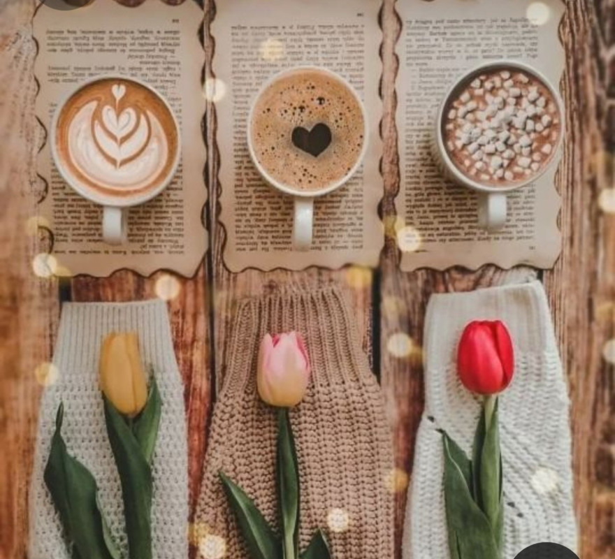 Screenshot_20230316_183129_Pinterest