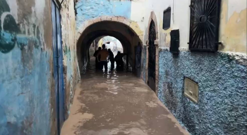 594962634-1590802528763422-9157446645756887847-n