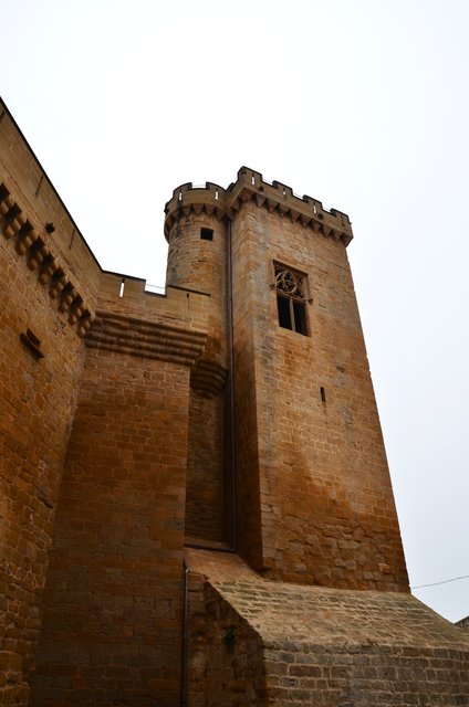 Olite-15-11-2015 - Navarra y sus pueblos-2015 (18)
