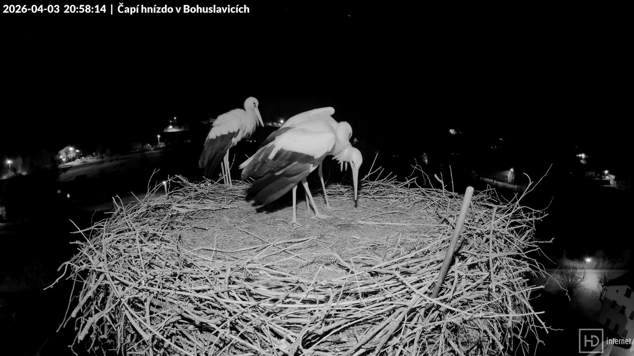 Tiešraide no KARA uzņēmuma stārķu skursteņa Bohuslavicē netālu no Trutnovas 15 27 11 screenshot (2)