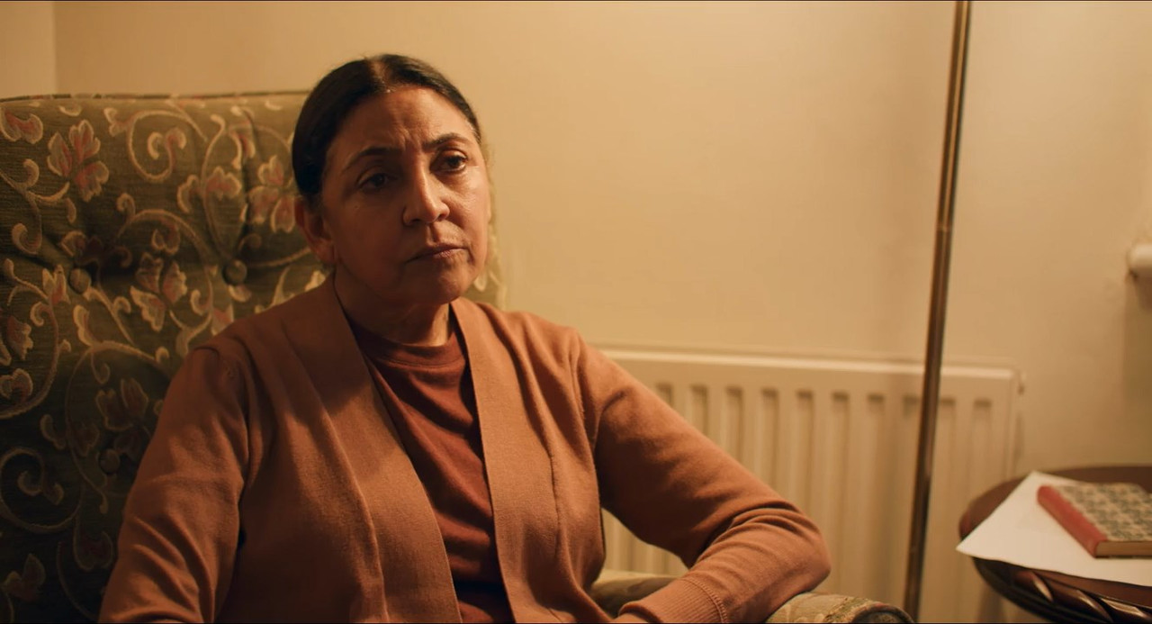 Goldfish 2022 WebRip [Hindi] 480p, 720p ESub Screenshot