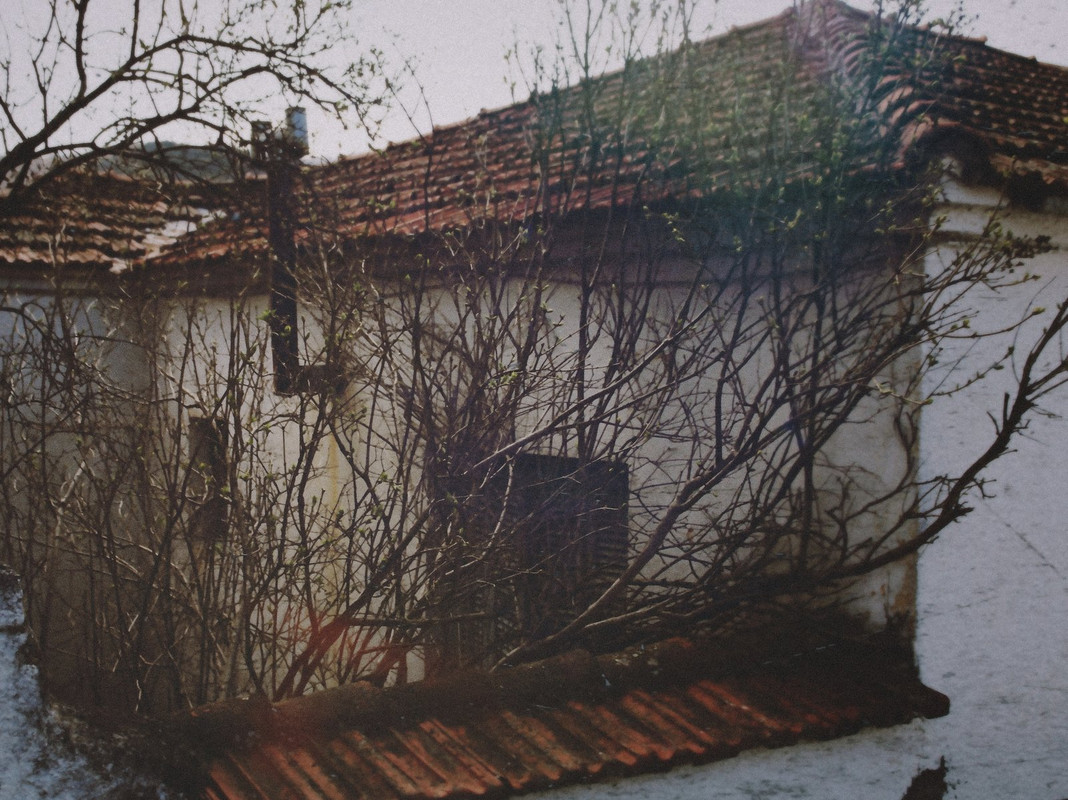 1-1-1-1-IMG_5248-002α