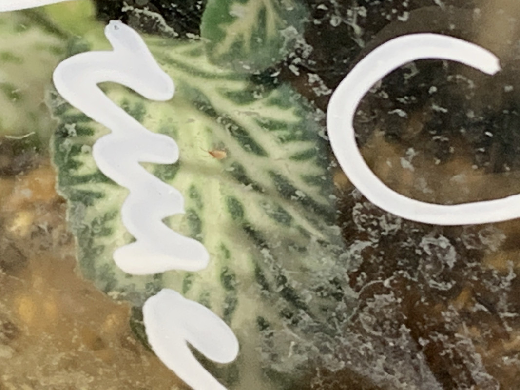 FD2A2D66-692A-4978-B926-12C9727B8203