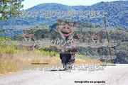 IMG-3058