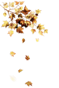 TADD_elements_Autumn_Fairy_Tales_77