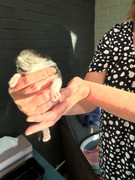 Afbeelding van WhatsApp op 2024-06-24 om 20.37.03_99450f25