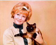 Hayley-Mills-b26