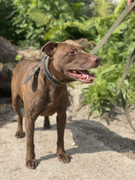 IMG_20230706_152030_939