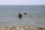 IMG-6394