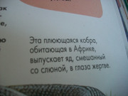 https://i.postimg.cc/G4CcjMQJ/100-8573.jpg