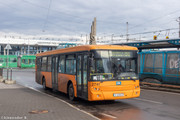IMG-4501