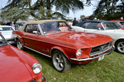 fullsizeoutput-136e.jpg