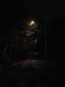 52.1.mystical tree path I