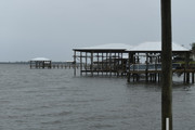 DSC0041