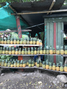 IMG-8384