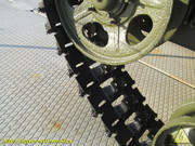 IMG-9988