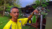 Kota-Jaya-Simpang-020313-(2)