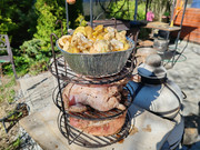 IMG-20240518-161219.jpg
