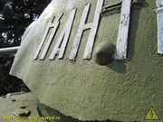 IMG-3284