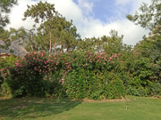 IMG-20230526-173711.jpg
