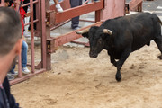 IMG-0100