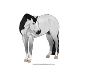 1FEE5E7A-57A2-49EC-9803-C71C4C94F9A0