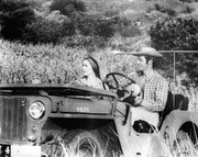 jean-paul-belmondo-d31