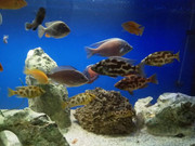 received_699786653747866