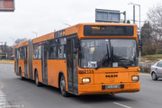 IMG-1894
