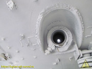 IMG-3423