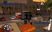 sa-mp-0000013