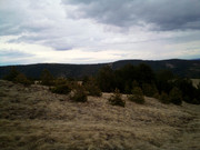 IMG_20210314_141533_2