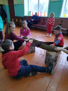 IMG-20250301-144732