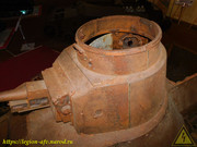 DSCN6551