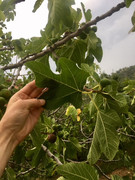 A32B37FD-5469-49DC-A573-4F47B26028C2