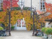 DSCN6767.jpg